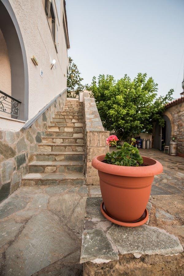 Potamaki Studios & Apartments Στούπα Εξωτερικό φωτογραφία